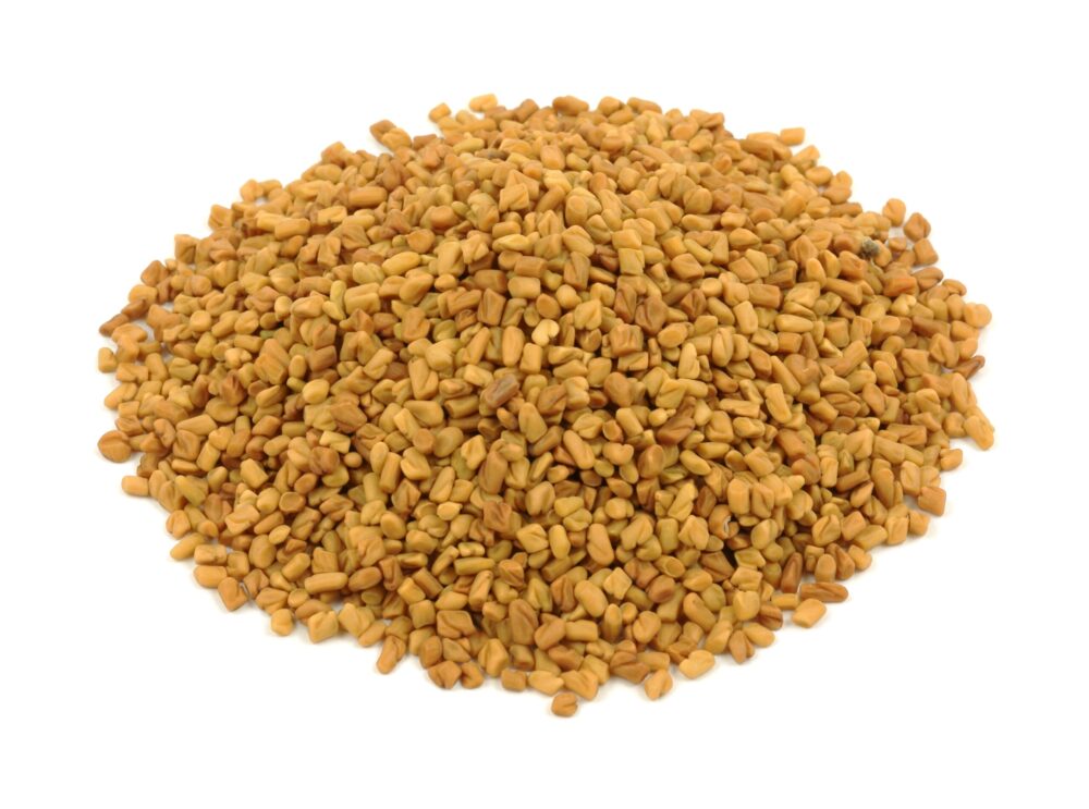 kozieradka