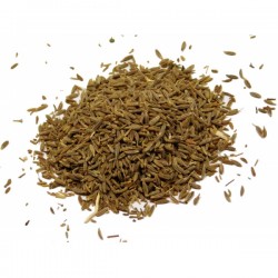 kmin-rzymskikuminziarno